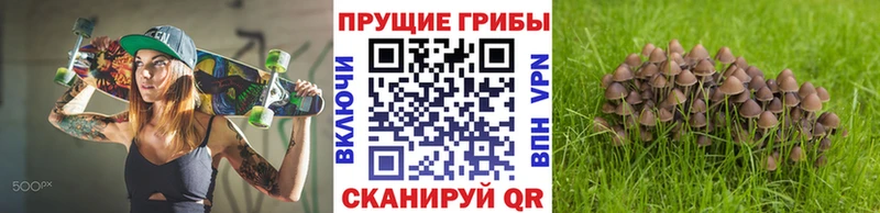 Галлюциногенные грибы мицелий Крымск